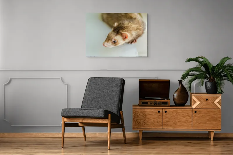 Tablou Canvas, "Jocul jucăuș al dihorului domestic", 100 x 70 cm – poza 8