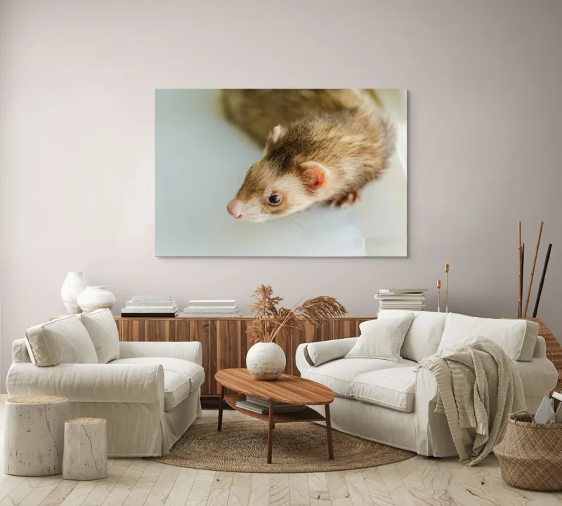 Tablou Canvas, "Jocul jucăuș al dihorului domestic", Nu pot spune cine este în imagine, dar pare a fi un dihor., 150 x 100 cm – poza 3
