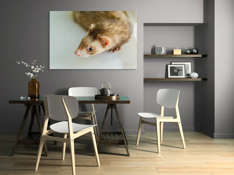 Tablou Canvas, "Jocul jucăuș al dihorului domestic", Nu pot spune cine este în imagine, dar pare a fi un dihor., 150 x 100 cm – poza 5