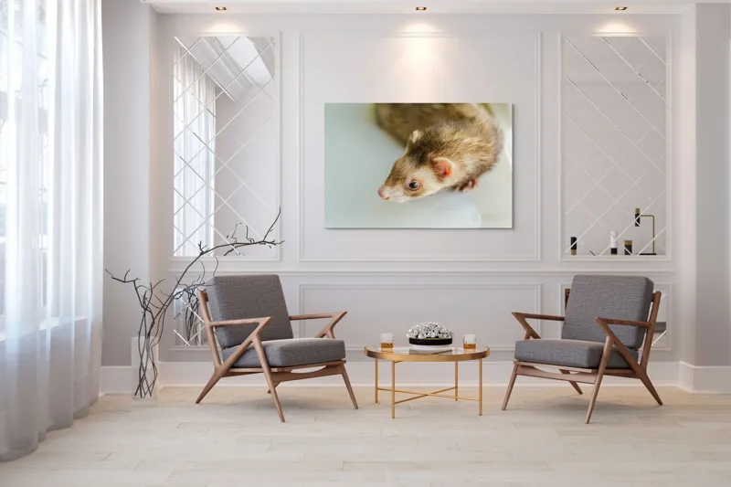 Tablou Canvas, "Jocul jucăuș al dihorului domestic", Nu pot spune cine este în imagine, dar pare a fi un dihor., 150 x 100 cm – poza 7