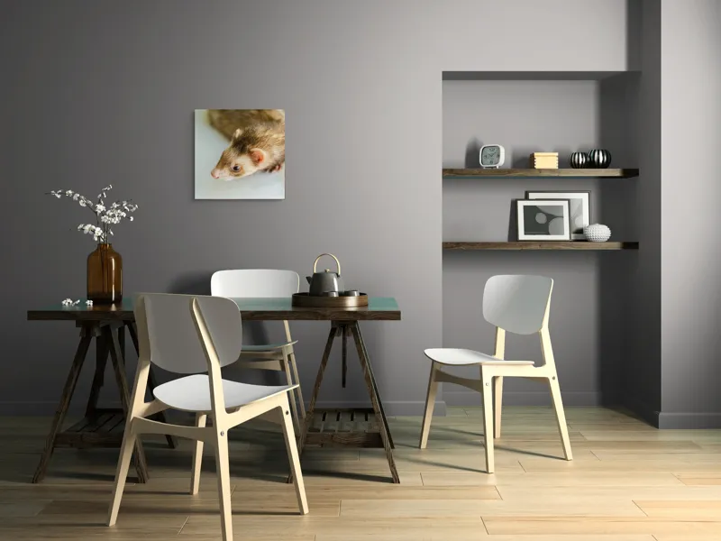 Tablou Canvas, "Jocul jucăuș al dihorului domestic", Nu pot spune cine este în imagine, dar pare a fi un dihor., 50 x 50 cm – poza 8