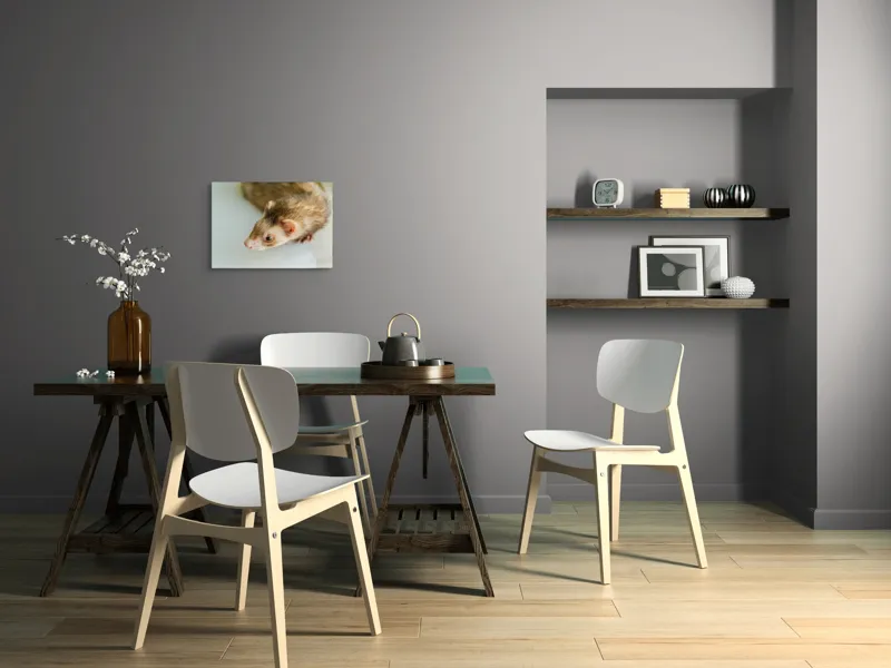 Tablou Canvas, "Jocul jucăuș al dihorului domestic", Nu pot spune cine este în imagine, dar pare a fi un dihor., 54 x 39 cm – poza 6