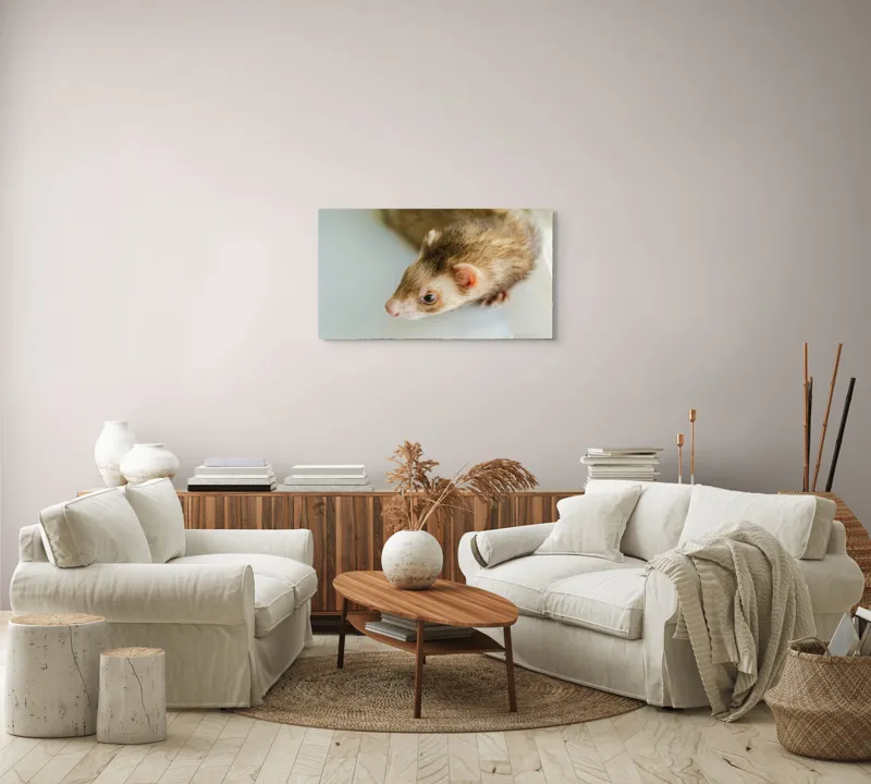 Tablou Canvas, "Jocul jucăuș al dihorului domestic", Nu pot spune cine este în imagine, dar pare a fi un dihor., 90 x 50 cm – poza 4