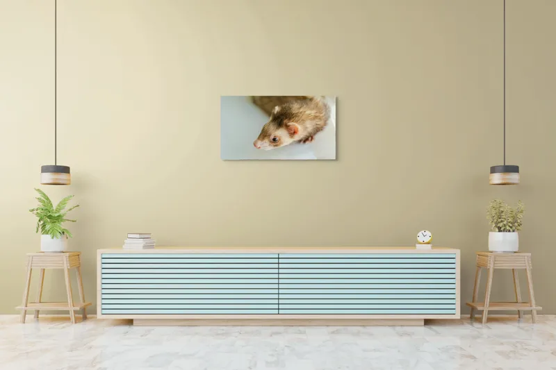 Tablou Canvas, "Jocul jucăuș al dihorului domestic", Nu pot spune cine este în imagine, dar pare a fi un dihor., 90 x 50 cm – poza 5