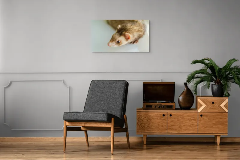 Tablou Canvas, "Jocul jucăuș al dihorului domestic", Nu pot spune cine este în imagine, dar pare a fi un dihor., 90 x 50 cm – poza 6