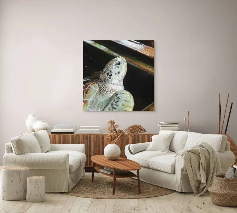 Tablou Canvas, "Țestoasa în așteptarea aventurii acvatice", Nu pot spune cine sau ce este în imagine., 100 x 100 cm – poza 3