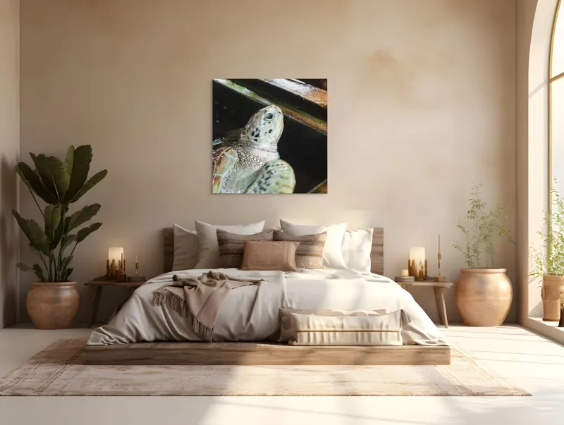 Tablou Canvas, "Țestoasa în așteptarea aventurii acvatice", Nu pot spune cine sau ce este în imagine., 100 x 100 cm – poza 4