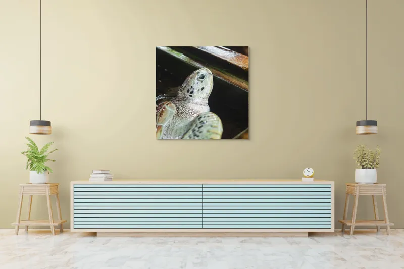 Tablou Canvas, "Țestoasa în așteptarea aventurii acvatice", Nu pot spune cine sau ce este în imagine., 100 x 100 cm – poza 5