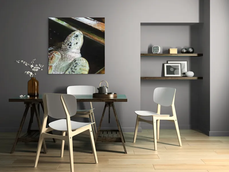 Tablou Canvas, "Țestoasa în așteptarea aventurii acvatice", Nu pot spune cine sau ce este în imagine., 100 x 100 cm – poza 6