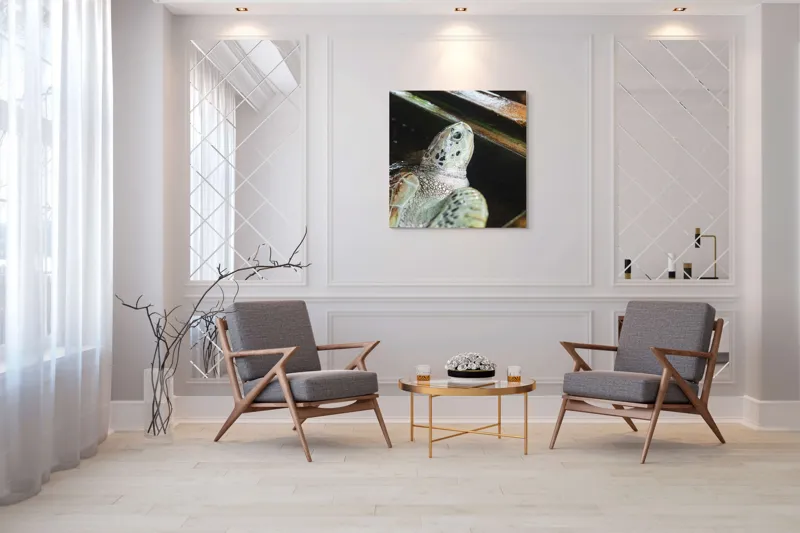 Tablou Canvas, "Țestoasa în așteptarea aventurii acvatice", Nu pot spune cine sau ce este în imagine., 100 x 100 cm – poza 7