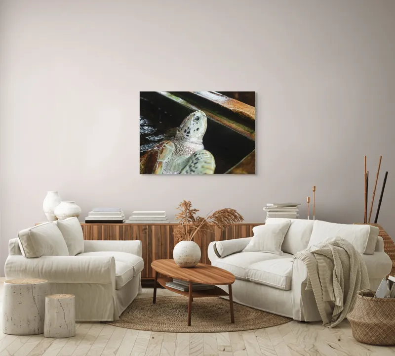Tablou Canvas, "Țestoasa în așteptarea aventurii acvatice", Nu pot spune cine sau ce este în imagine., 100 x 70 cm – poza 3