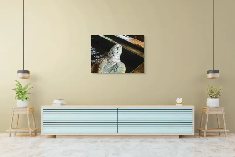 Tablou Canvas, "Țestoasa în așteptarea aventurii acvatice", Nu pot spune cine sau ce este în imagine., 100 x 70 cm – poza 4