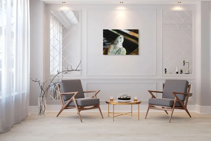 Tablou Canvas, "Țestoasa în așteptarea aventurii acvatice", Nu pot spune cine sau ce este în imagine., 100 x 70 cm – poza 5