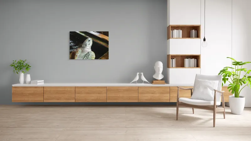 Tablou Canvas, "Țestoasa în așteptarea aventurii acvatice", Nu pot spune cine sau ce este în imagine., 100 x 70 cm – poza 6