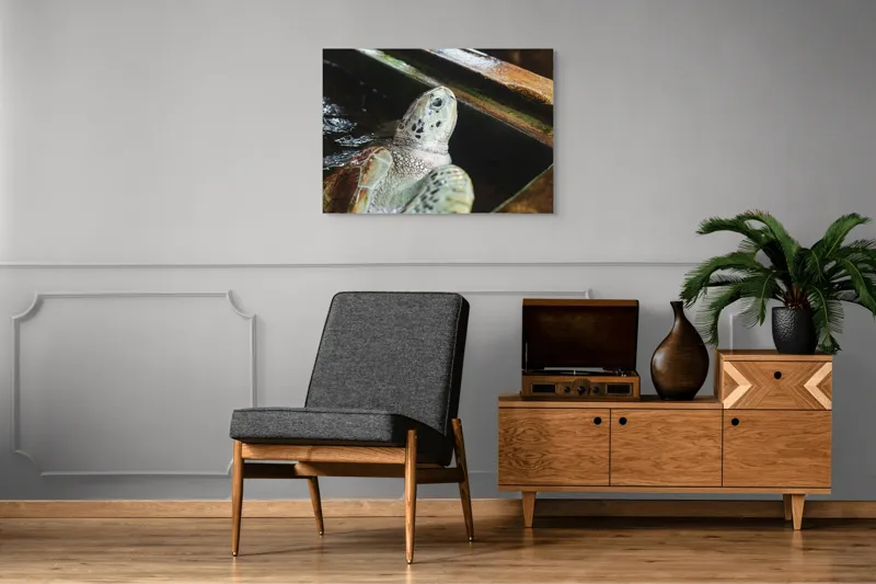 Tablou Canvas, "Țestoasa în așteptarea aventurii acvatice", Nu pot spune cine sau ce este în imagine., 100 x 70 cm – poza 8