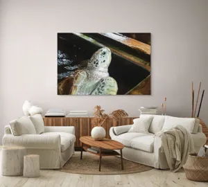 Tablou Canvas, "Țestoasa în așteptarea aventurii acvatice", 150 x 100 cm – poza 3