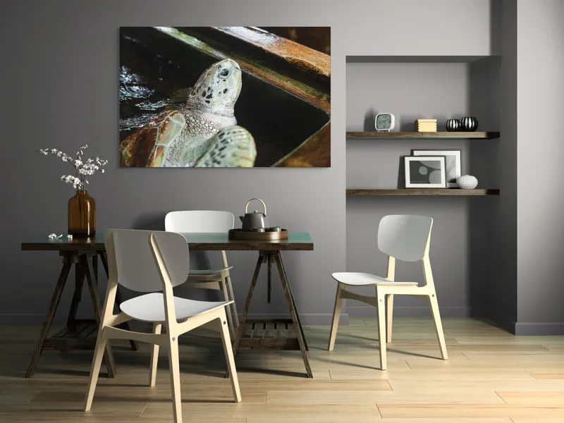 Tablou Canvas, "Țestoasa în așteptarea aventurii acvatice", 150 x 100 cm – poza 5