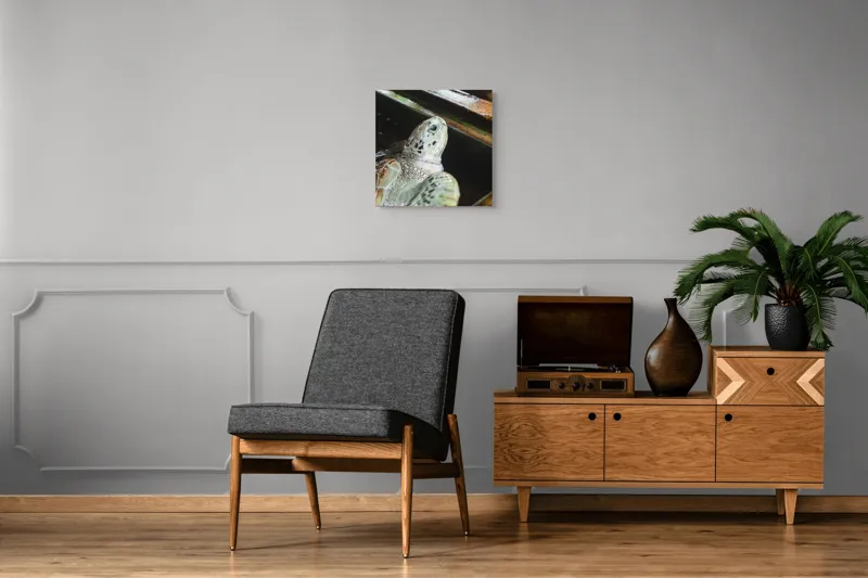 Tablou Canvas, "Țestoasa în așteptarea aventurii acvatice", Nu pot spune cine sau ce este în imagine., 50 x 50 cm – poza 6