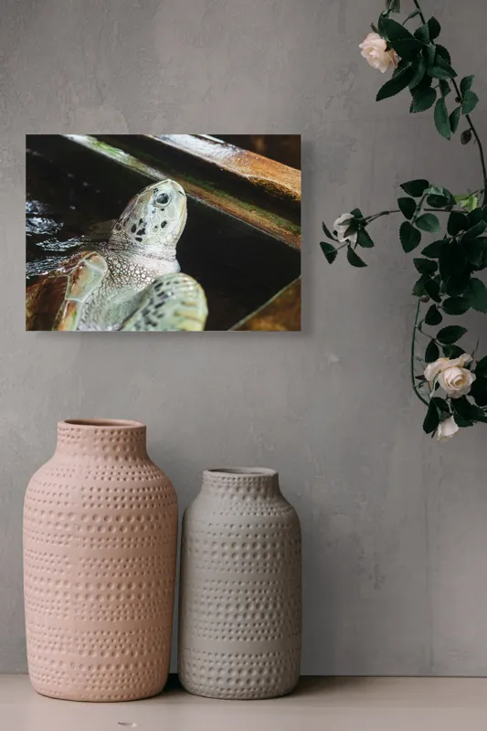 Tablou Canvas, "Țestoasa în așteptarea aventurii acvatice", Nu pot spune cine sau ce este în imagine., 54 x 39 cm – poza 8