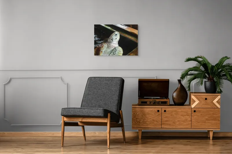 Tablou Canvas, "Țestoasa în așteptarea aventurii acvatice", Nu pot spune cine sau ce este în imagine., 70 x 50 cm – poza 4