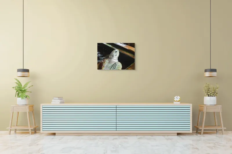 Tablou Canvas, "Țestoasa în așteptarea aventurii acvatice", Nu pot spune cine sau ce este în imagine., 70 x 50 cm – poza 7
