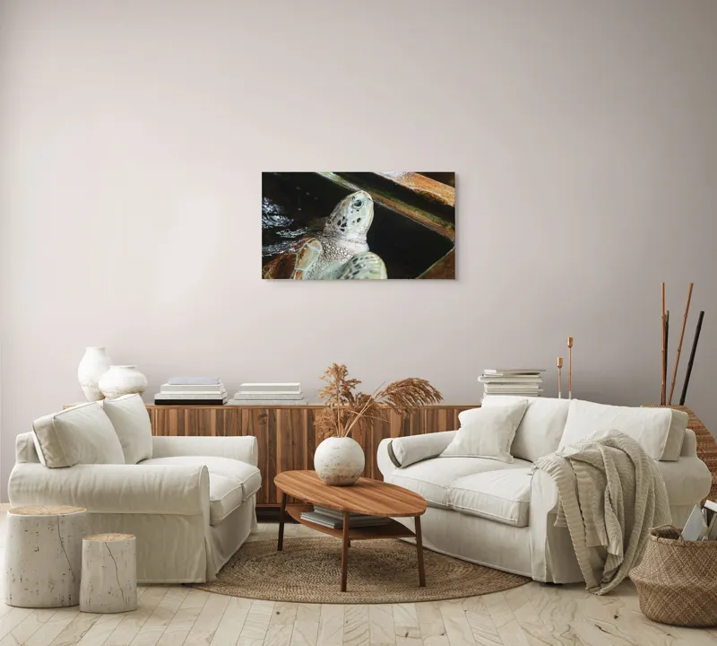 Tablou Canvas, "Țestoasa în așteptarea aventurii acvatice", Nu pot spune cine sau ce este în imagine., 90 x 50 cm – poza 4