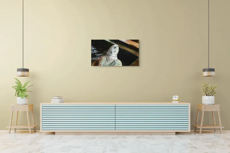 Tablou Canvas, "Țestoasa în așteptarea aventurii acvatice", Nu pot spune cine sau ce este în imagine., 90 x 50 cm – poza 5