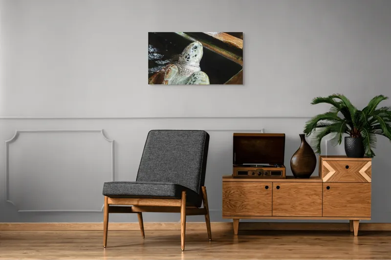 Tablou Canvas, "Țestoasa în așteptarea aventurii acvatice", Nu pot spune cine sau ce este în imagine., 90 x 50 cm – poza 6