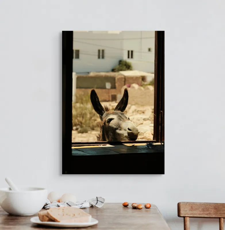 Tablou Canvas, "Măgar curios la fereastră deschisă", Urechi, Fereastră, Măgar, Clădiri, Cer, Curiozitate, Soare, 50 x 70 cm – poza 3