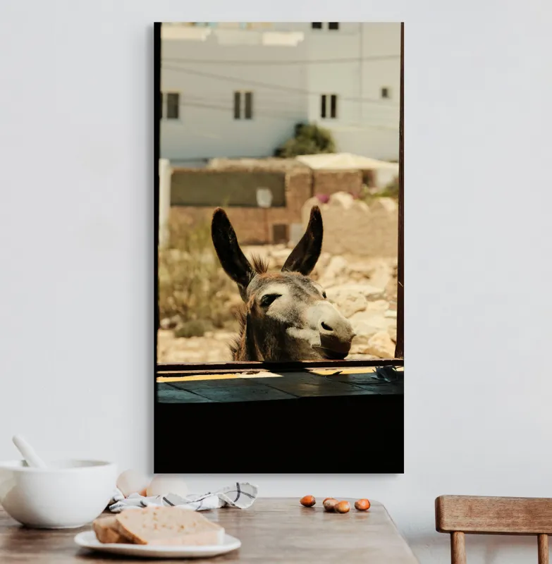 Tablou Canvas, "Măgar curios la fereastră deschisă", Urechi, Fereastră, Măgar, Clădiri, Cer, Curiozitate, Soare, 50 x 90 cm – poza 3