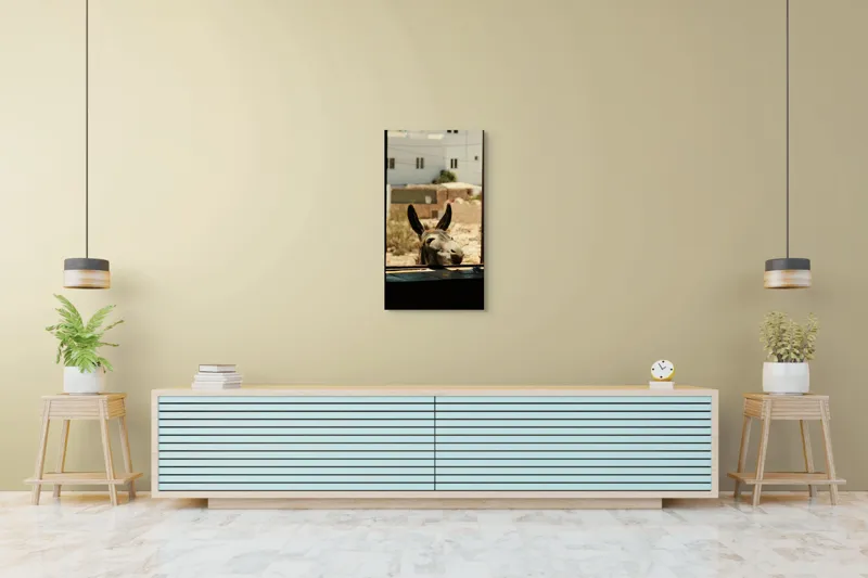 Tablou Canvas, "Măgar curios la fereastră deschisă", Urechi, Fereastră, Măgar, Clădiri, Cer, Curiozitate, Soare, 50 x 90 cm – poza 6