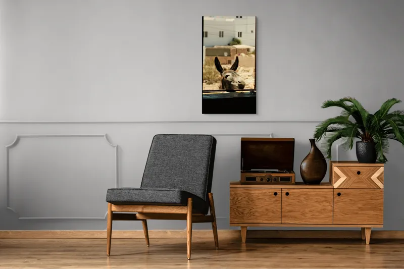 Tablou Canvas, "Măgar curios la fereastră deschisă", Urechi, Fereastră, Măgar, Clădiri, Cer, Curiozitate, Soare, 50 x 90 cm – poza 8