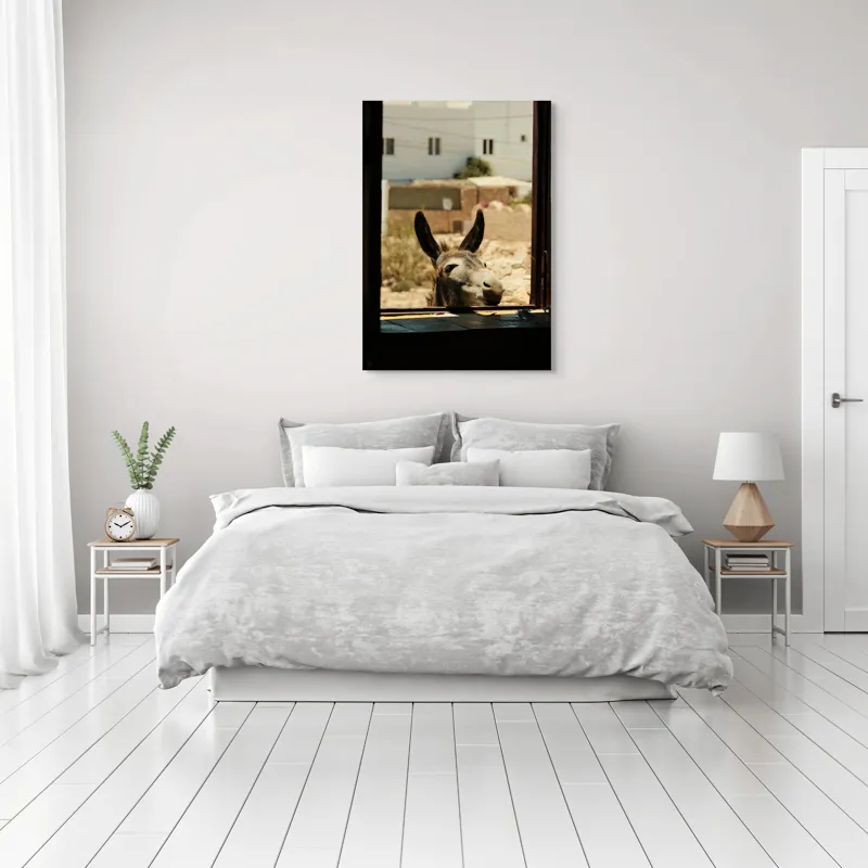Tablou Canvas, "Măgar curios la fereastră deschisă", Urechi, Fereastră, Măgar, Clădiri, Cer, Curiozitate, Soare, 70 x 100 cm – poza 3