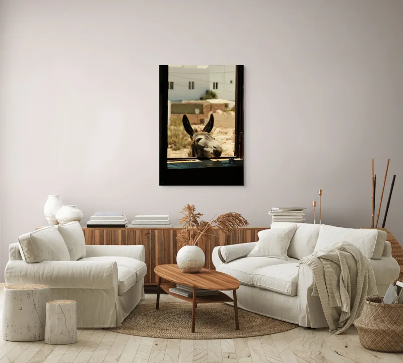Tablou Canvas, "Măgar curios la fereastră deschisă", Urechi, Fereastră, Măgar, Clădiri, Cer, Curiozitate, Soare, 70 x 100 cm – poza 4