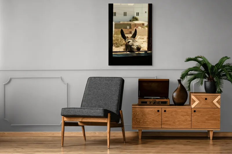 Tablou Canvas, "Măgar curios la fereastră deschisă", Urechi, Fereastră, Măgar, Clădiri, Cer, Curiozitate, Soare, 70 x 100 cm – poza 6