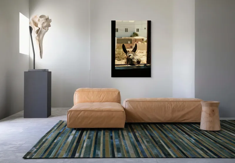 Tablou Canvas, "Măgar curios la fereastră deschisă", Urechi, Fereastră, Măgar, Clădiri, Cer, Curiozitate, Soare, 70 x 100 cm – poza 7