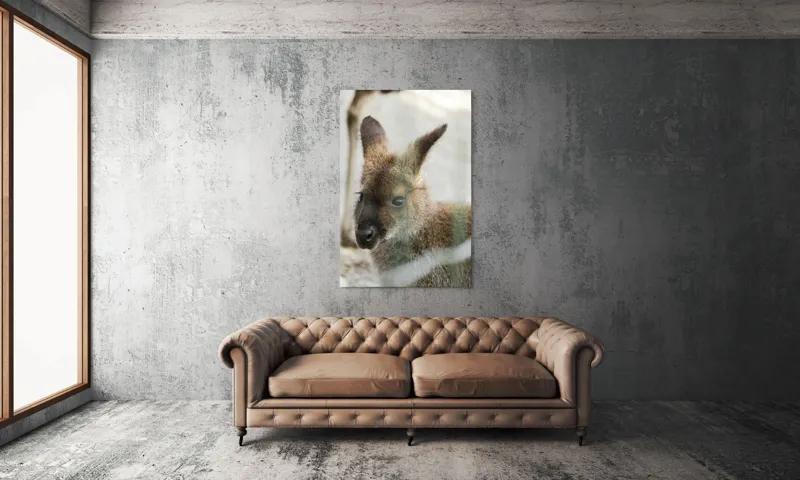 Tablou Canvas, "Cangur tânăr într-un moment de liniște", 100 x 150 cm – poza 6