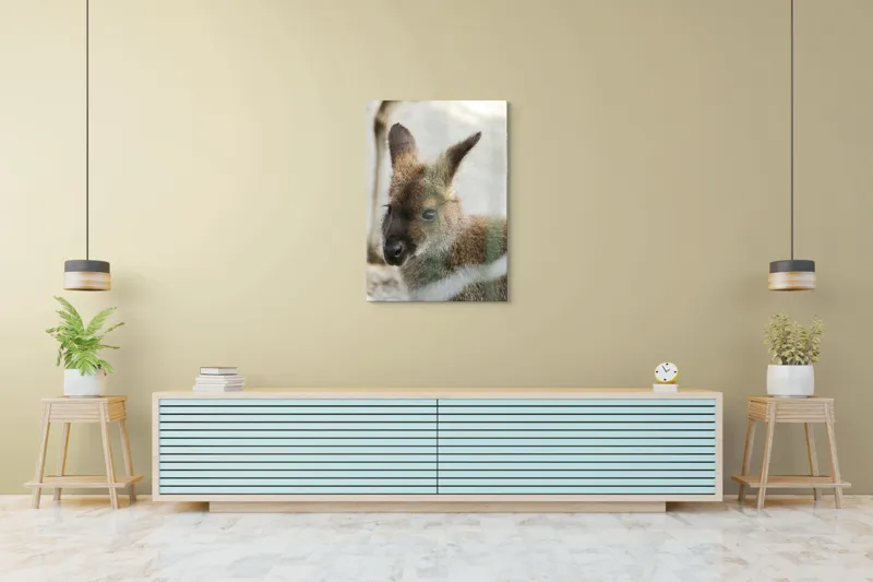 Tablou Canvas, "Cangur tânăr într-un moment de liniște", 70 x 100 cm – poza 5