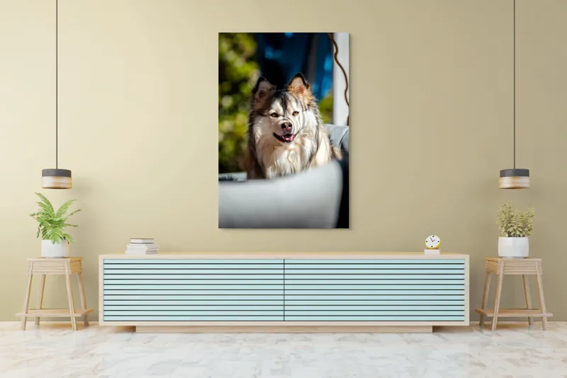 Tablou Canvas, "Câine vesel în lumina soarelui", Câine, Fluffy, Zâmbitor, Blană, Lumină, Natură, Fundal, Verde, Portret, Fericire, 100 x 150 cm – poza 4