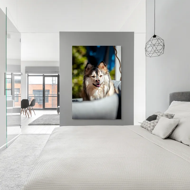 Tablou Canvas, "Câine vesel în lumina soarelui", Câine, Fluffy, Zâmbitor, Blană, Lumină, Natură, Fundal, Verde, Portret, Fericire, 100 x 150 cm – poza 5