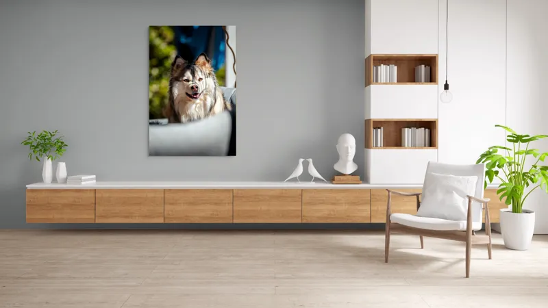 Tablou Canvas, "Câine vesel în lumina soarelui", Câine, Fluffy, Zâmbitor, Blană, Lumină, Natură, Fundal, Verde, Portret, Fericire, 100 x 150 cm – poza 8