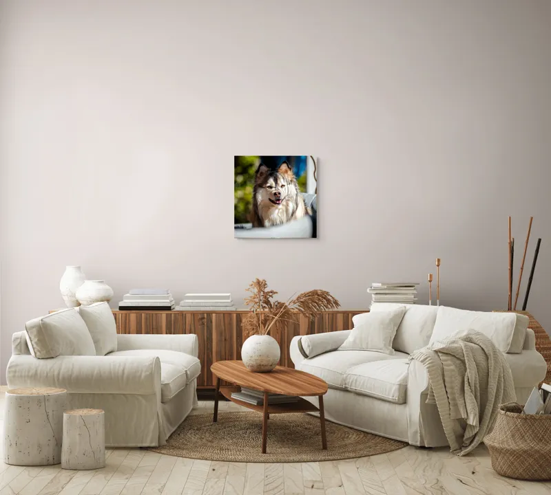 Tablou Canvas, "Câine vesel în lumina soarelui", Câine, Fluffy, Zâmbitor, Blană, Lumină, Natură, Fundal, Verde, Portret, Fericire, 50 x 50 cm – poza 7
