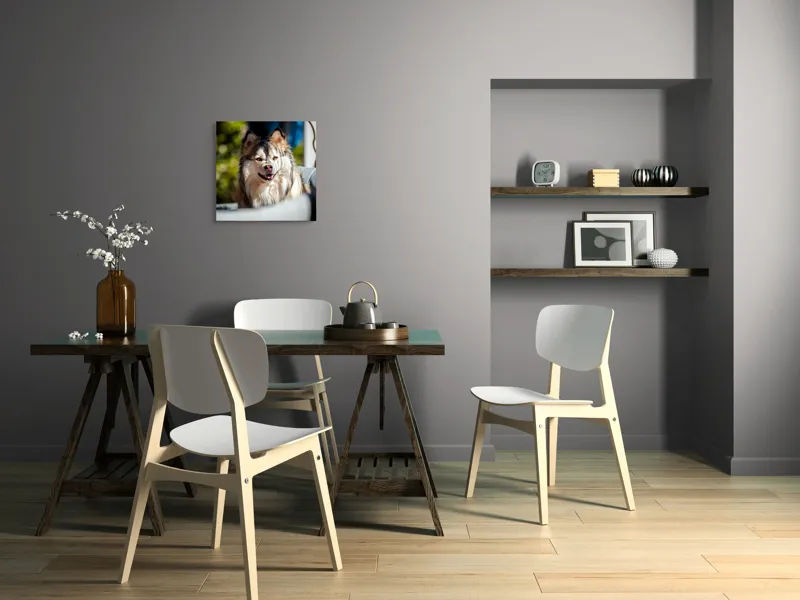 Tablou Canvas, "Câine vesel în lumina soarelui", Câine, Fluffy, Zâmbitor, Blană, Lumină, Natură, Fundal, Verde, Portret, Fericire, 50 x 50 cm – poza 8