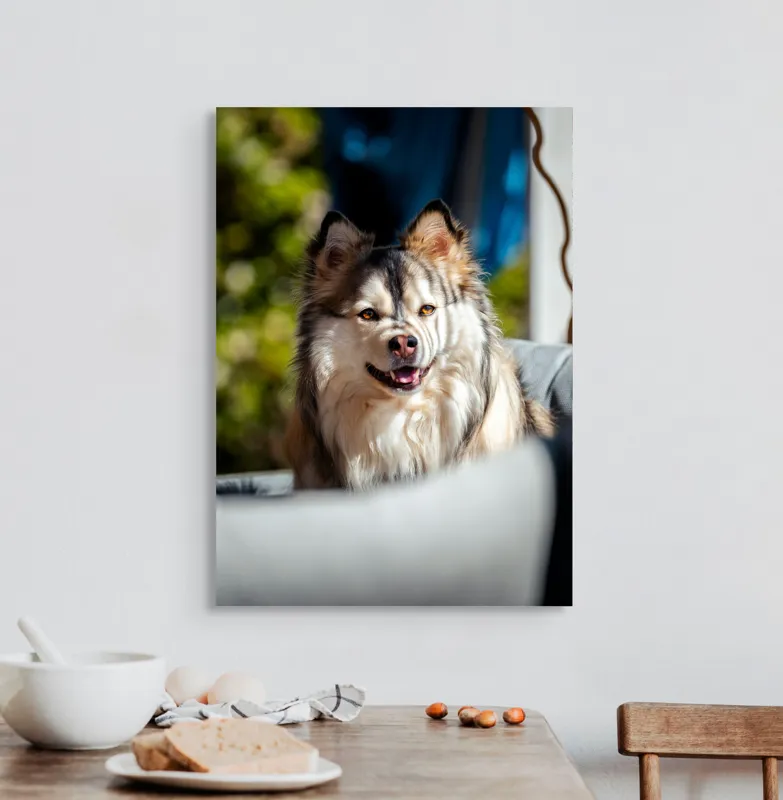 Tablou Canvas, "Câine vesel în lumina soarelui", Câine, Fluffy, Zâmbitor, Blană, Lumină, Natură, Fundal, Verde, Portret, Fericire, 50 x 70 cm – poza 3