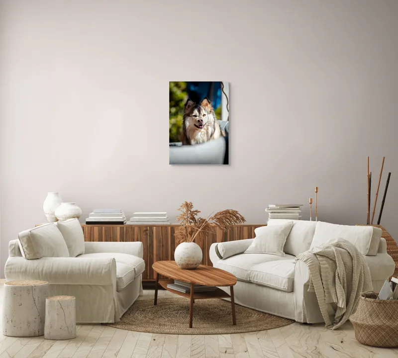 Tablou Canvas, "Câine vesel în lumina soarelui", Câine, Fluffy, Zâmbitor, Blană, Lumină, Natură, Fundal, Verde, Portret, Fericire, 50 x 70 cm – poza 4