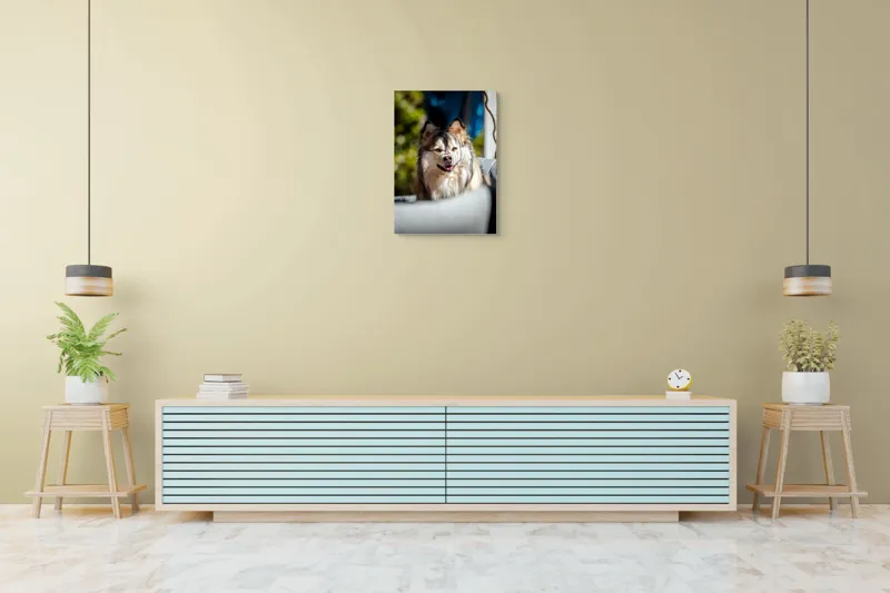Tablou Canvas, "Câine vesel în lumina soarelui", Câine, Fluffy, Zâmbitor, Blană, Lumină, Natură, Fundal, Verde, Portret, Fericire, 50 x 70 cm – poza 6