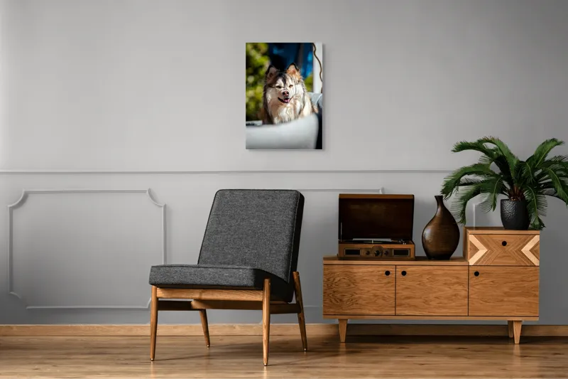 Tablou Canvas, "Câine vesel în lumina soarelui", Câine, Fluffy, Zâmbitor, Blană, Lumină, Natură, Fundal, Verde, Portret, Fericire, 50 x 70 cm – poza 8