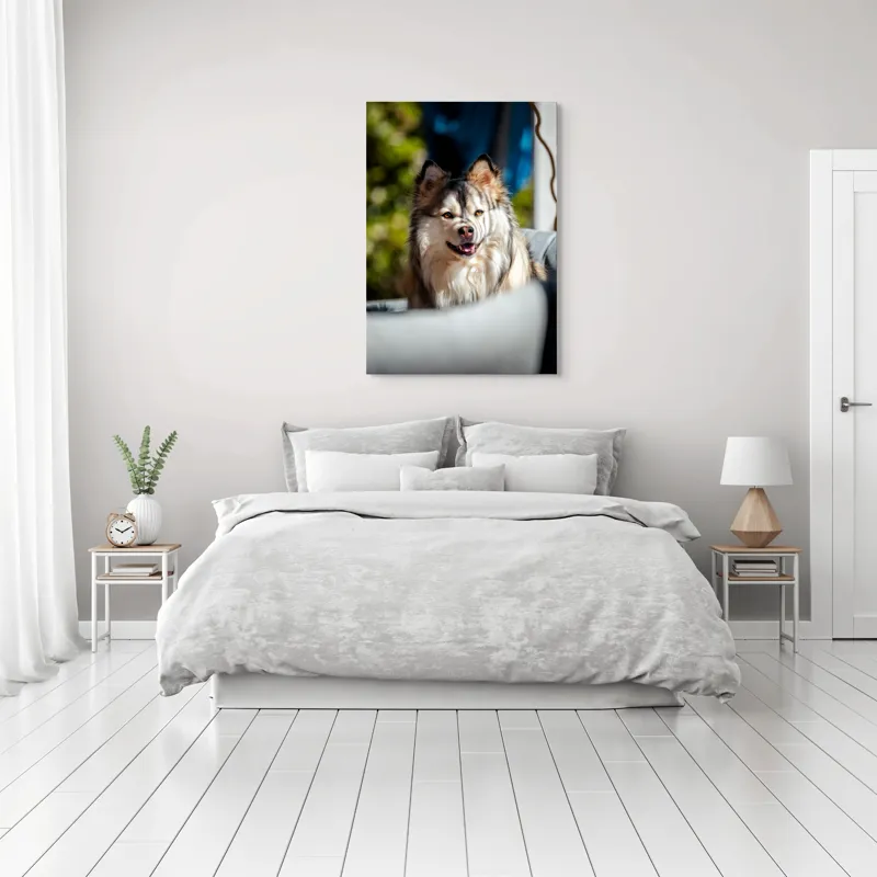 Tablou Canvas, "Câine vesel în lumina soarelui", Câine, Fluffy, Zâmbitor, Blană, Lumină, Natură, Fundal, Verde, Portret, Fericire, 70 x 100 cm – poza 3
