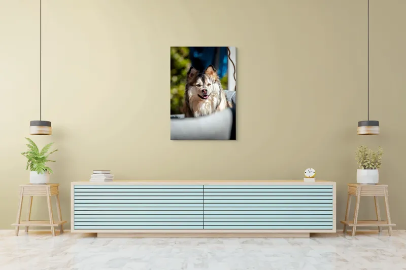 Tablou Canvas, "Câine vesel în lumina soarelui", Câine, Fluffy, Zâmbitor, Blană, Lumină, Natură, Fundal, Verde, Portret, Fericire, 70 x 100 cm – poza 5