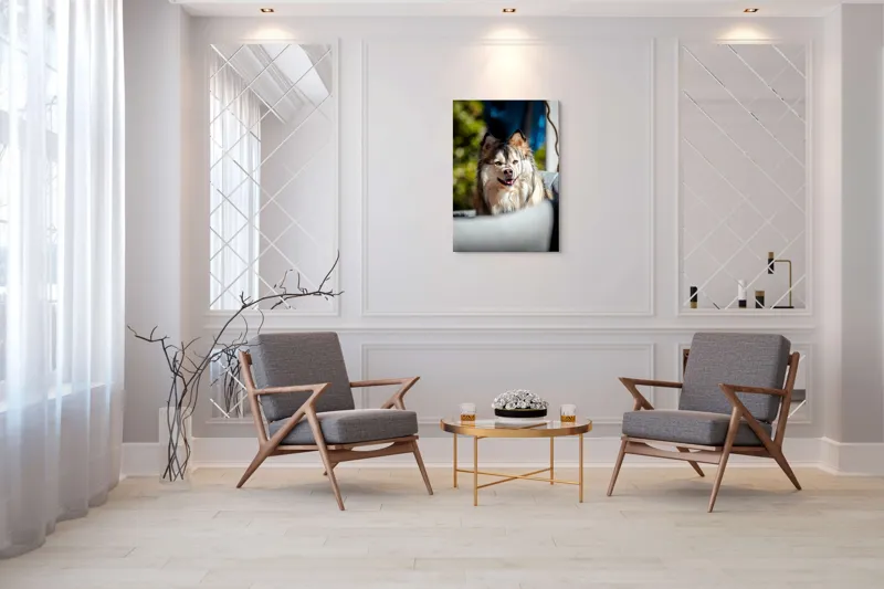 Tablou Canvas, "Câine vesel în lumina soarelui", Câine, Fluffy, Zâmbitor, Blană, Lumină, Natură, Fundal, Verde, Portret, Fericire, 70 x 100 cm – poza 8